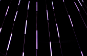 Meet - Altice Arena - 2019 Meet - Altice Arena - 2019