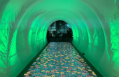 Tunnel Tunnel